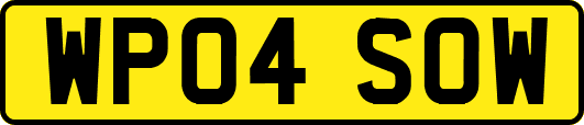 WP04SOW