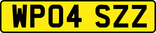 WP04SZZ