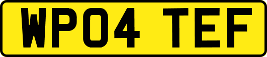 WP04TEF