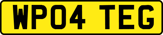 WP04TEG