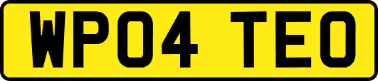 WP04TEO