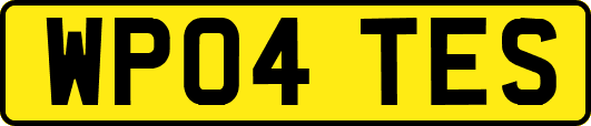 WP04TES