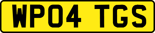 WP04TGS