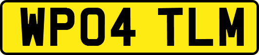 WP04TLM