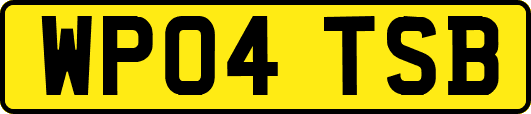 WP04TSB