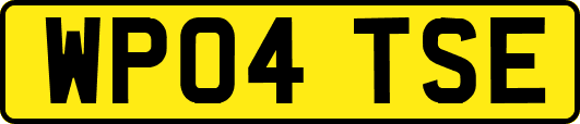 WP04TSE