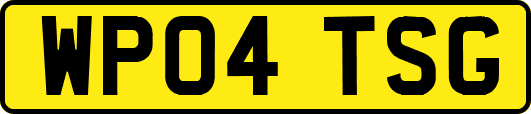 WP04TSG