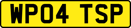 WP04TSP