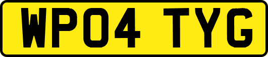 WP04TYG
