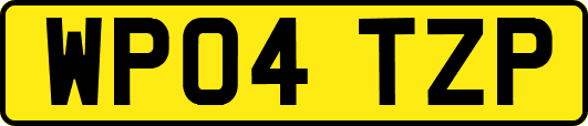 WP04TZP