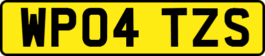 WP04TZS