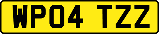 WP04TZZ