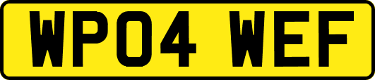 WP04WEF