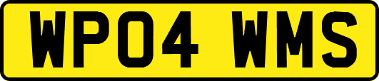 WP04WMS