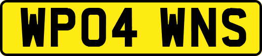 WP04WNS