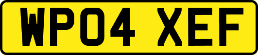 WP04XEF