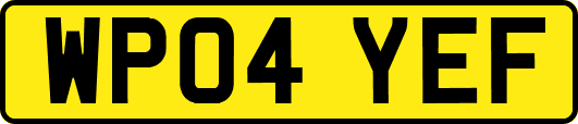 WP04YEF