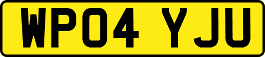 WP04YJU