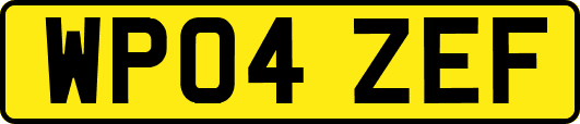 WP04ZEF