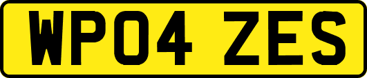 WP04ZES
