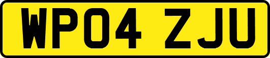 WP04ZJU