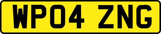 WP04ZNG