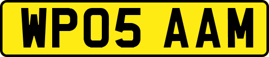 WP05AAM