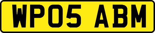 WP05ABM