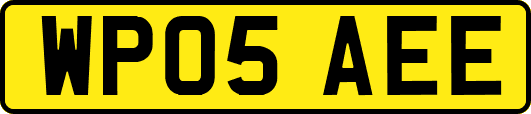 WP05AEE