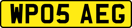 WP05AEG