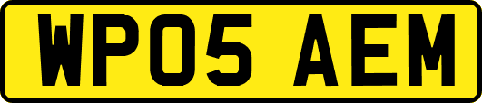 WP05AEM