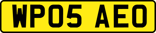 WP05AEO