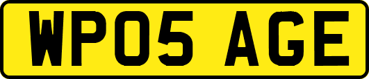 WP05AGE