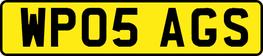 WP05AGS