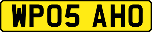 WP05AHO