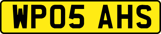 WP05AHS