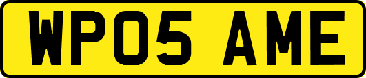 WP05AME