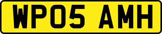 WP05AMH