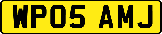 WP05AMJ