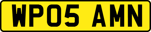 WP05AMN
