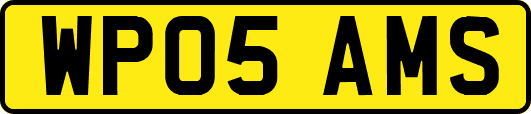 WP05AMS