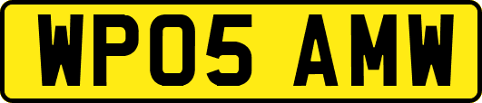 WP05AMW