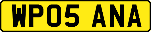 WP05ANA