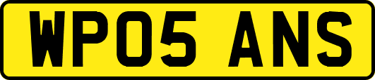 WP05ANS
