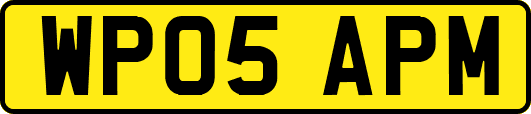 WP05APM