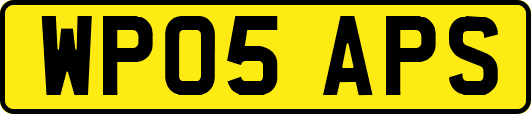 WP05APS