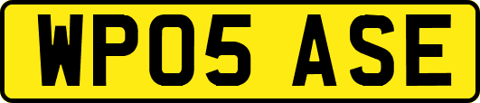 WP05ASE