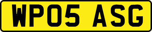 WP05ASG