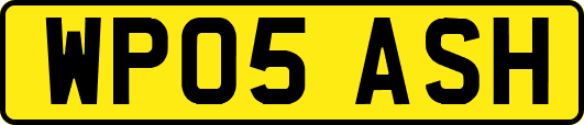 WP05ASH