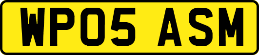 WP05ASM